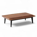 Tavolino da caffè in legno di noce 120 x 60 x 35cm con design moderno